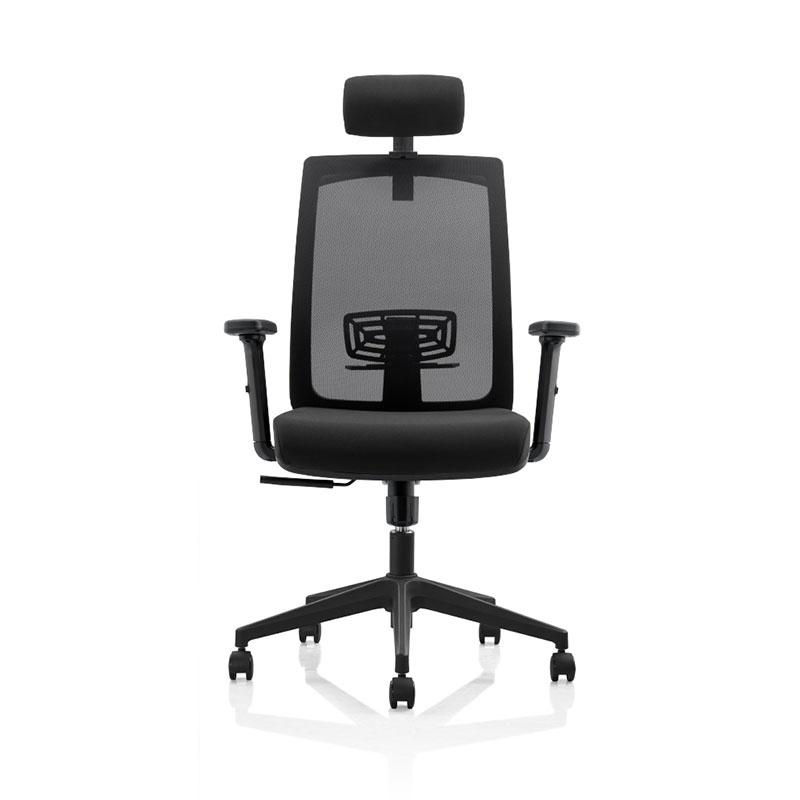 Professional office chairs