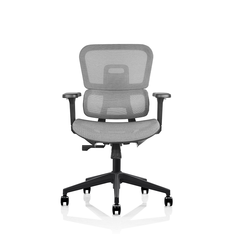 Double Back Mesh Chair